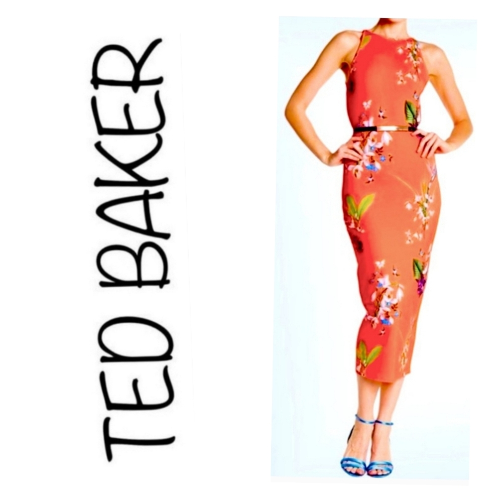 Ted Baker London Floral Maxi Dress Size 1
